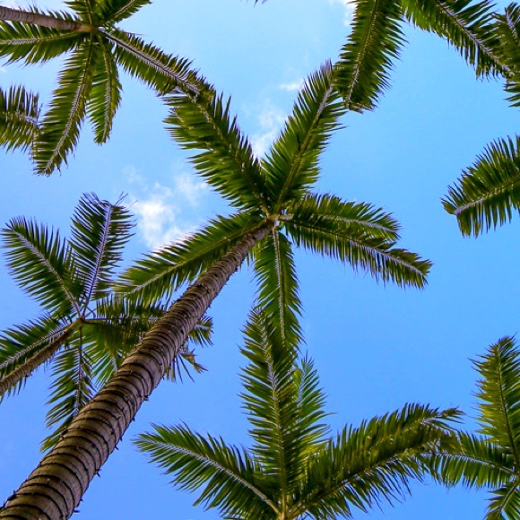 Meet your Posher, Kimi - Picture 1 of 1